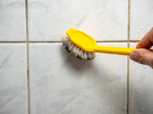 Best Office Mold Removal Services  in Gambier, OH