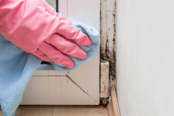 Best Mold Testing  in Gambier, OH